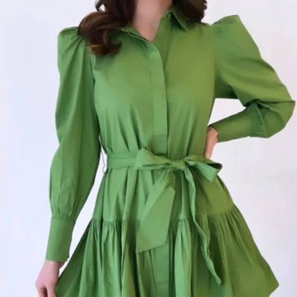 LaRoque Size M Green Button Down Dress - Picture 1 of 7